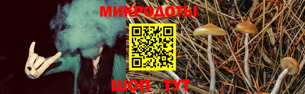 Галлюциногенные грибы прущие грибы Кострома