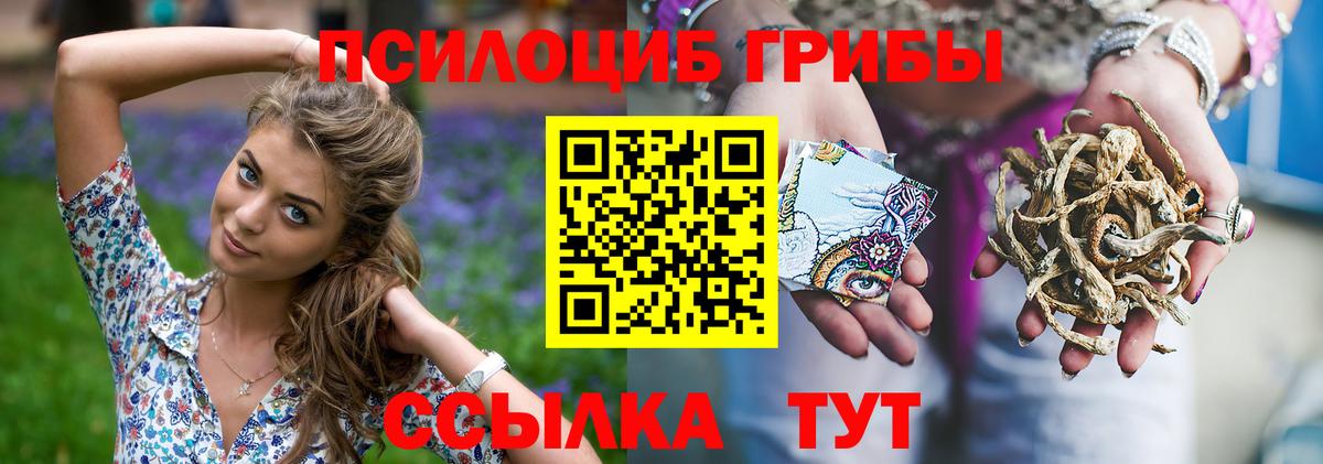 Псилоцибиновые грибы Psilocybe  Вход с VPN  Псилоцибиновые грибы ЛСД  Кострома 